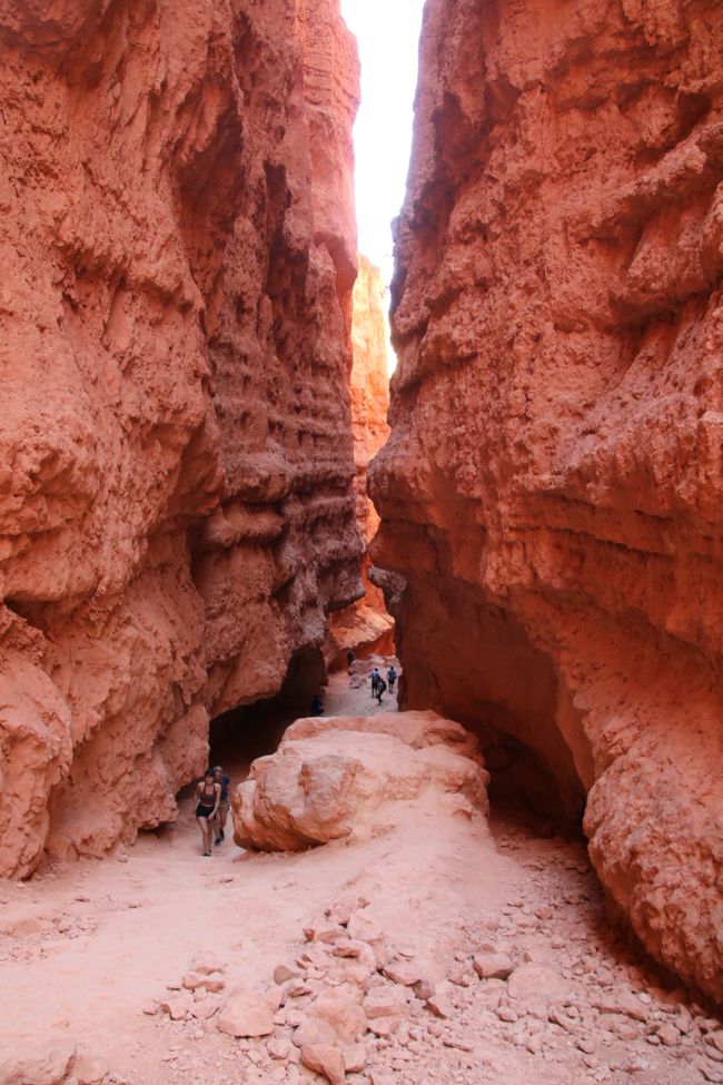 Into the deep – Navajo-Loop-Trail im Bryce Canyon