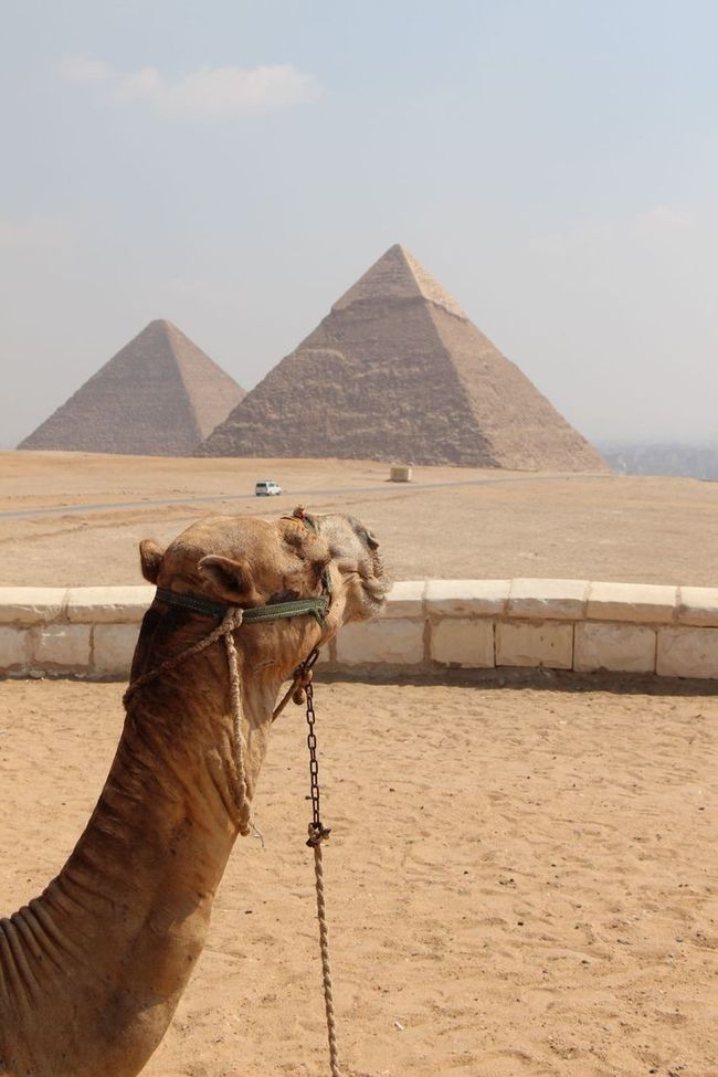 मिस्र दी यात्रा अक्तूबर 2022