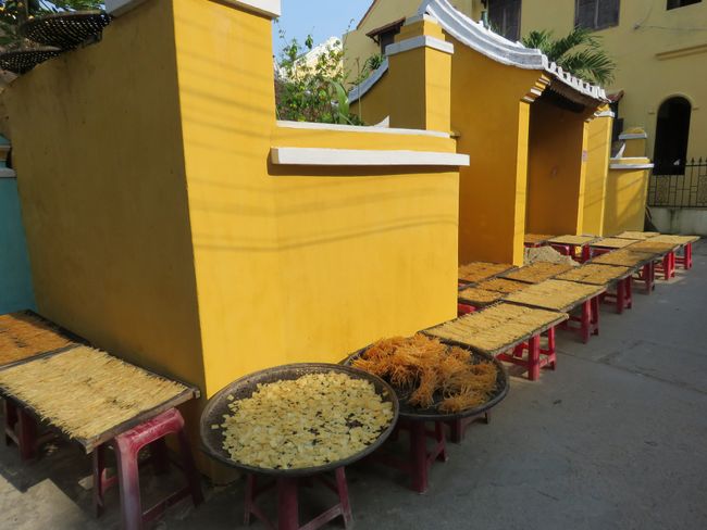 Homemade noodles drying in the sun