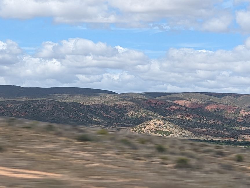 D'Oudtshoorn à Hermanus - avec un détour dans le 'Midwest'