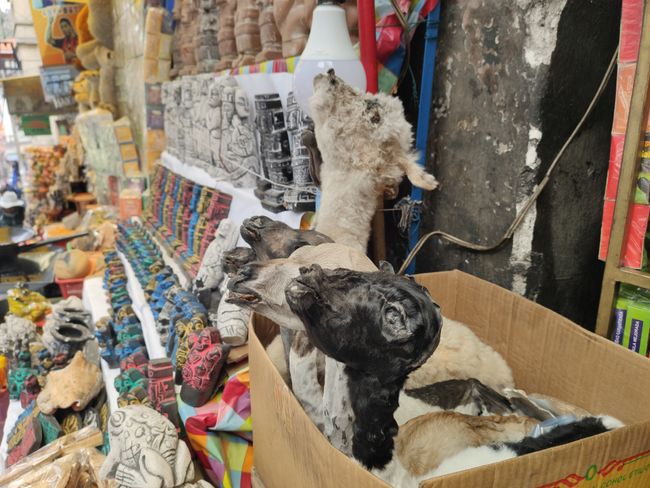 Lama-Föten zum Verkauf am Hexenmarkt - kranke Sache