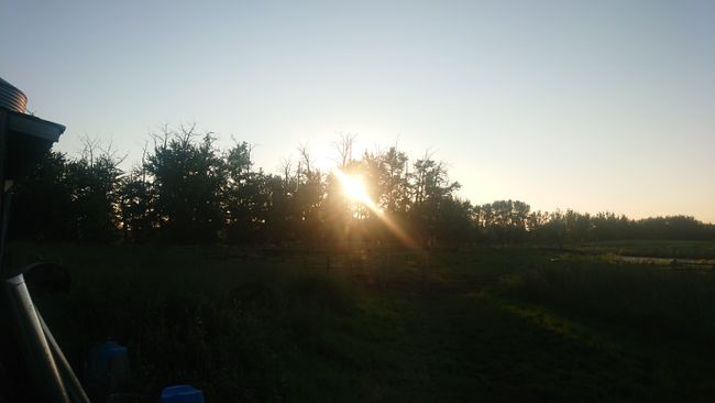 Sonnenuntergang auf der Sunwest Equine Ranch
