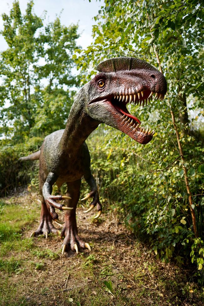 Tag 4: Ich glaub, die Dinos sind da!