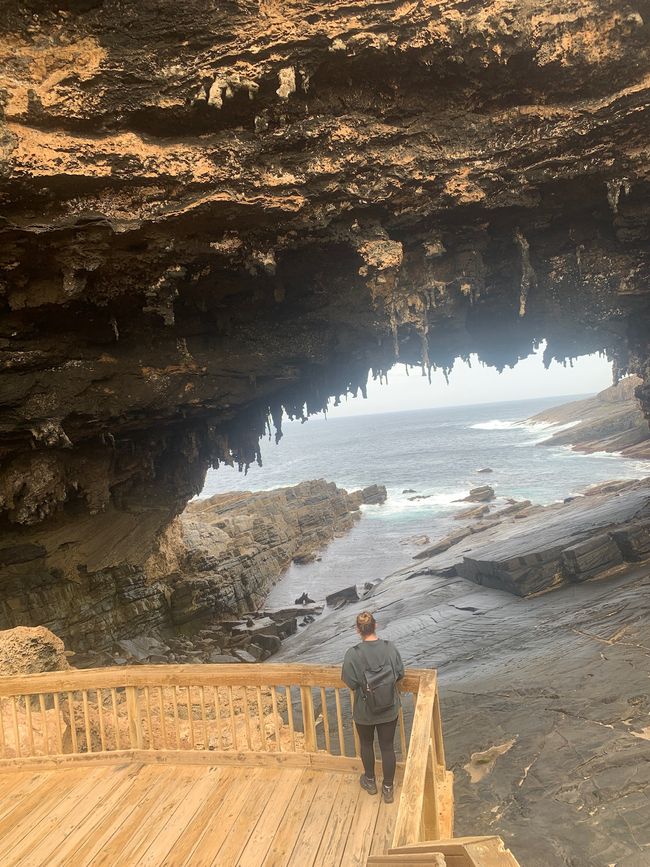 Flinders Chase National Park: Admirals Arch
