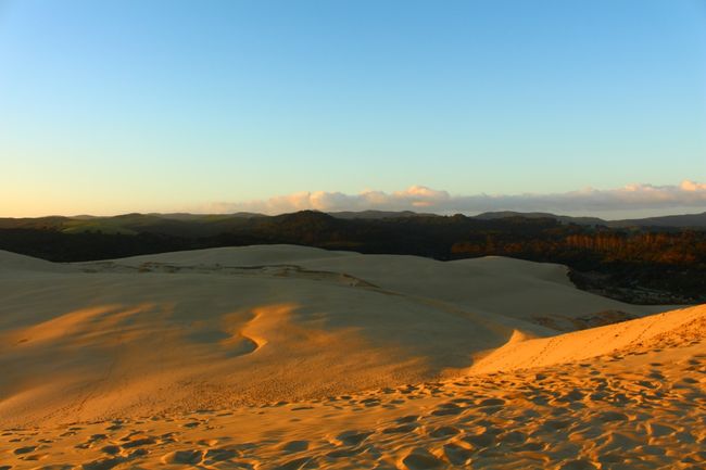 Der hohe Norden und Cape Reinga