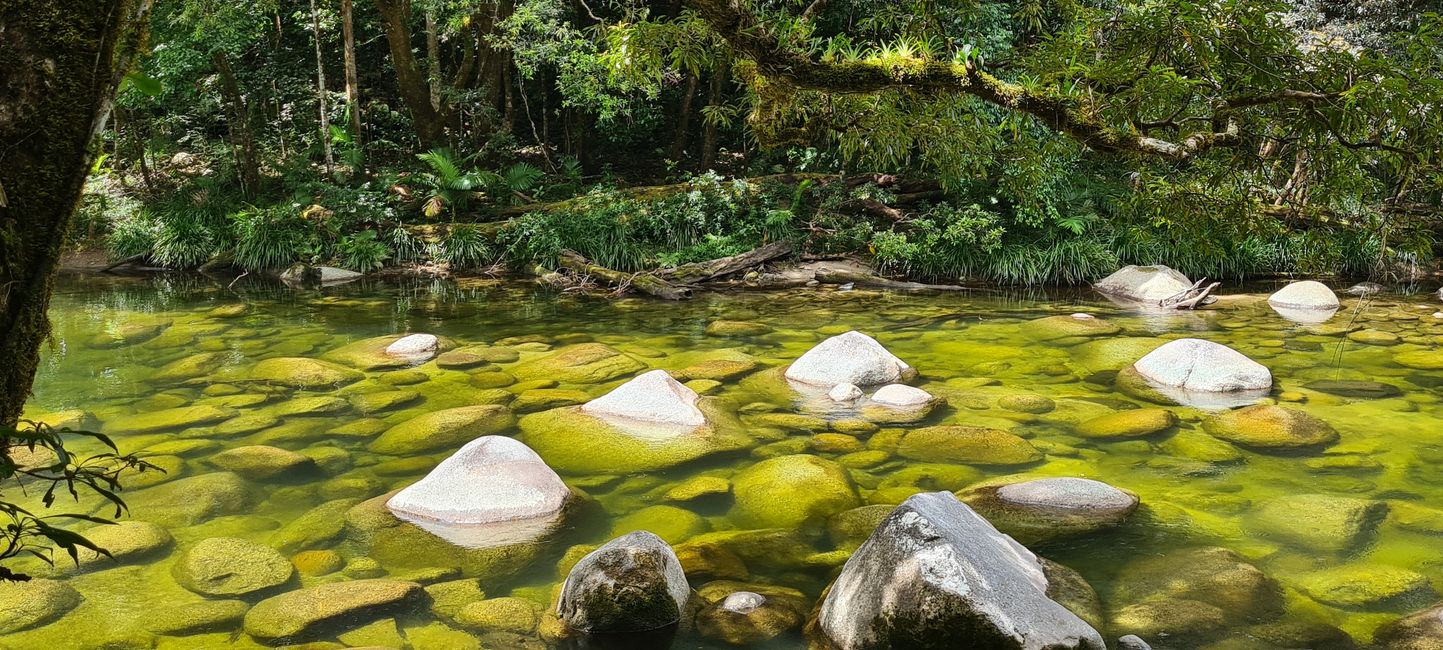 In der Mossman Gorge 