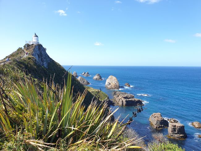 Windy at Nugget Point