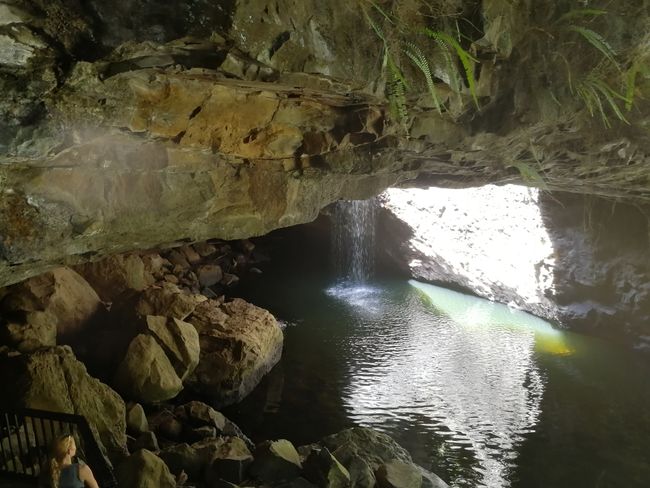 Cave with a waterfall in Springbrook National Park 