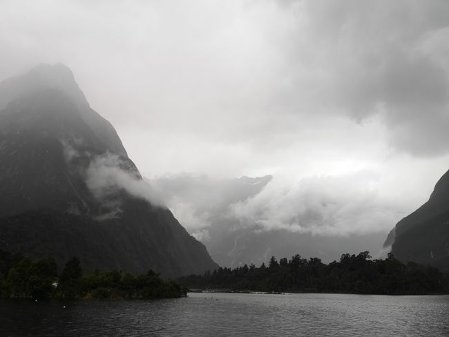Milford Sound and Goodbye