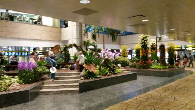 Orchideengarten mitten im Flughafen