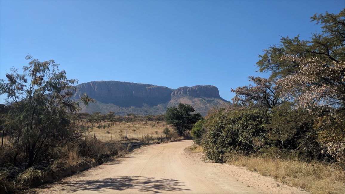Siku ra vunhungu: Ku suka ePilanesberg NP ku ya eKololo Game Reserve