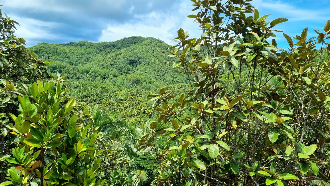 Seychelles 2023 - Part 2: Praslin