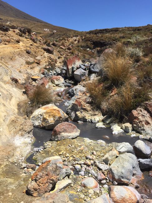 Family time Part 2 and the North Island of New Zealand