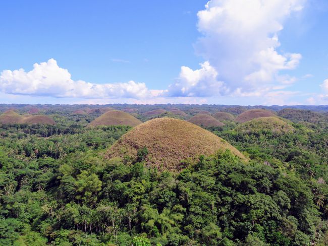 Bohol and the Chocolate Mountains