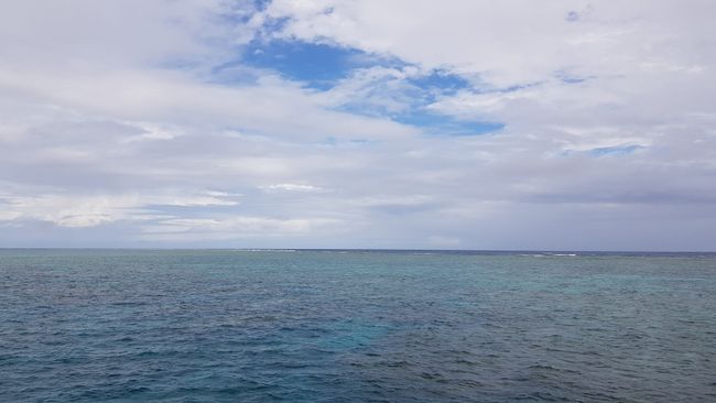 Day 41: Cairns (Great Barrier Reef) - Port Douglas