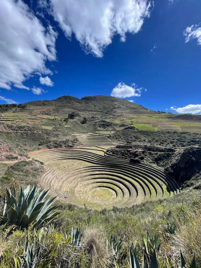 Inca terraces in Moray