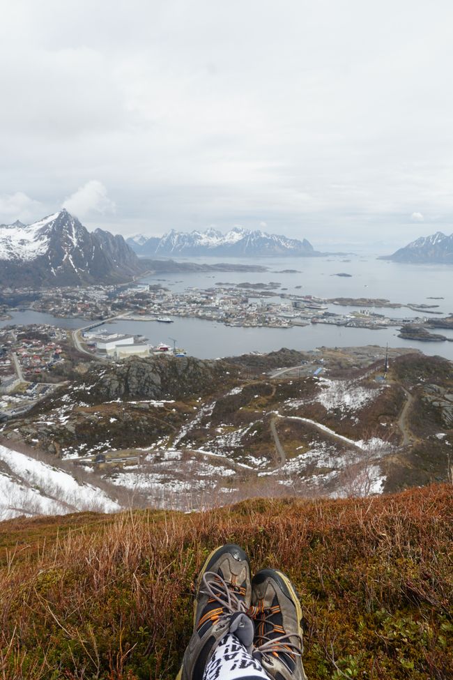 Svolvaer hike & Trollfjorden cruise