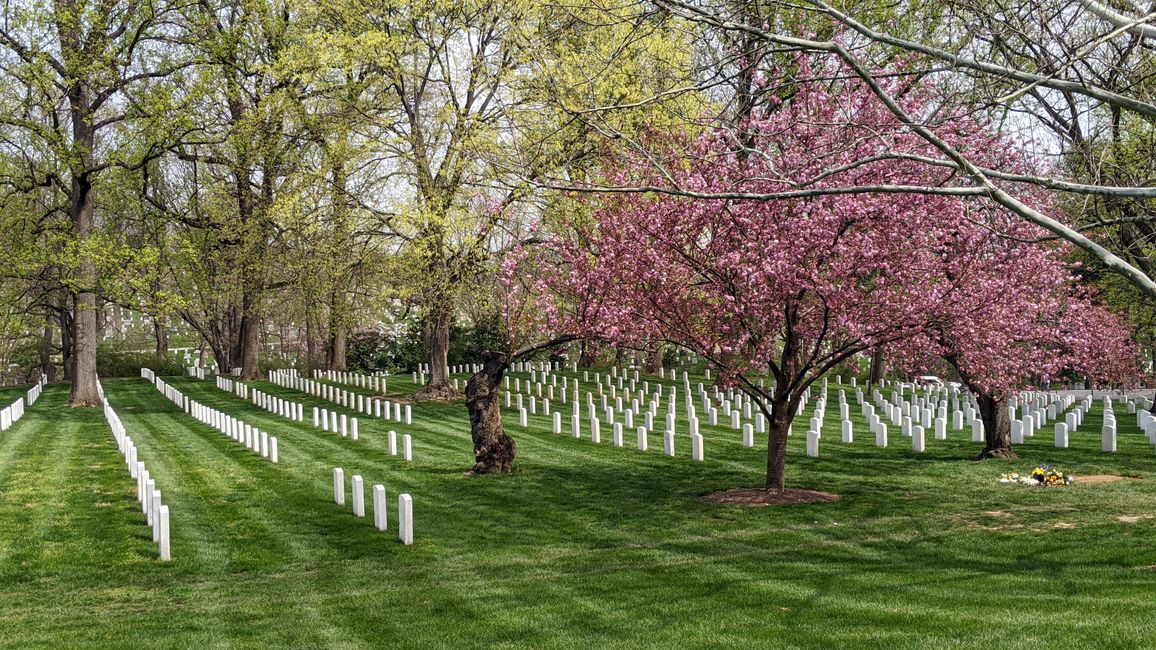 Tag 5: Arlington Cemetary – The View – Library of Congress…