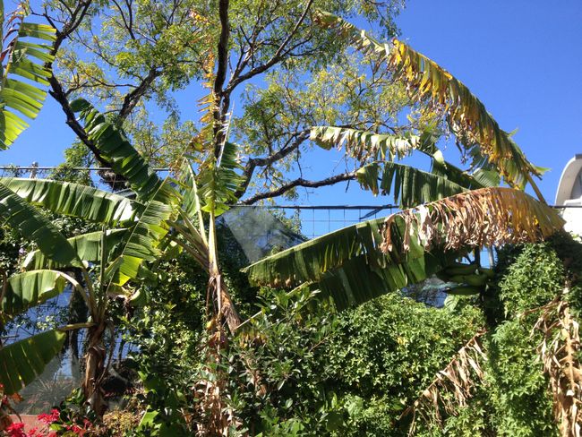 Costa Rica vacation