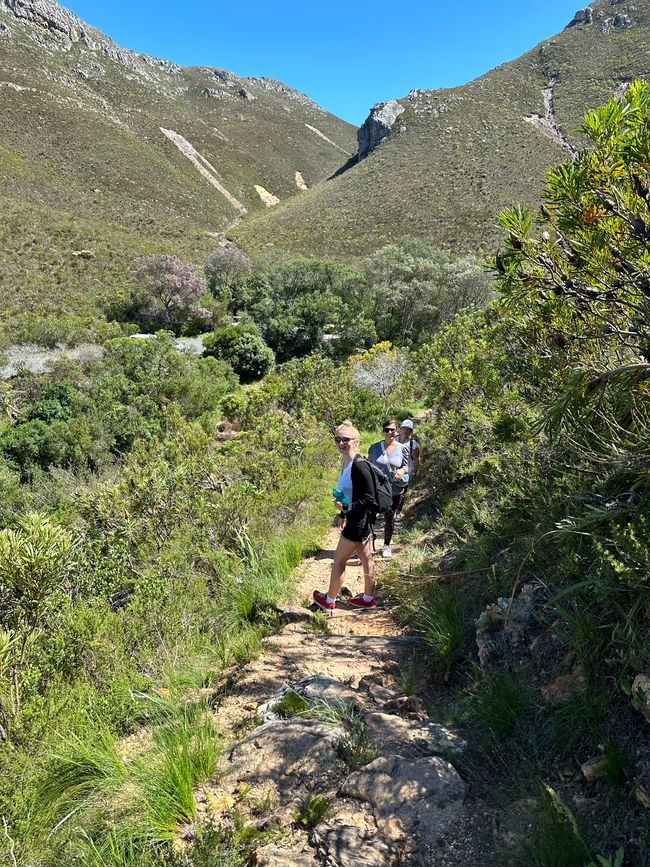 Hermanus ♥️