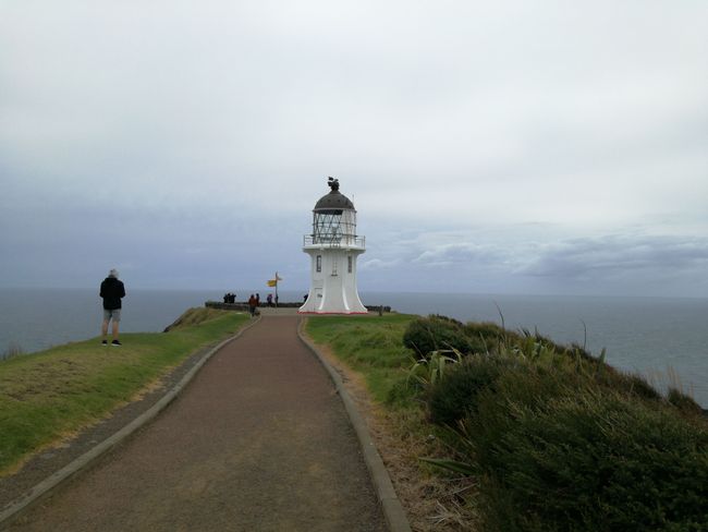 Cape Reinga. According to Maori belief, their souls must travel through here after they die