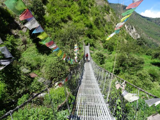 Nepal: ... up to the Himalayas: Trekking in the Langtang National Park
