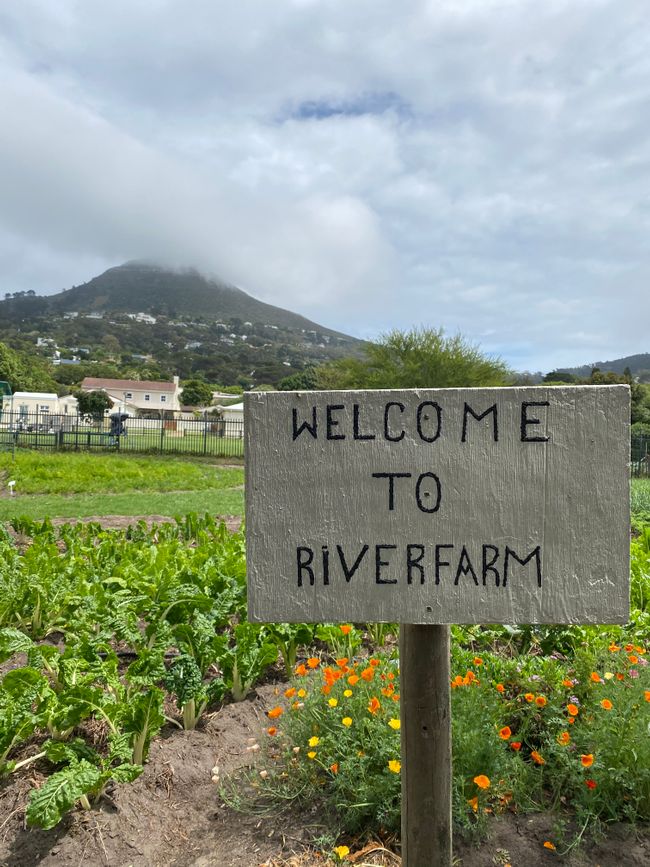 River Farm ist eine weitere Farm von Love in a Bowl und für sie zuständig als Circle Manager ist Bundi.
