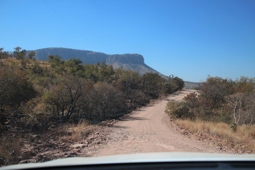 Tag 9: Vom Pilanesberg NP zum Kololo Game Reserve