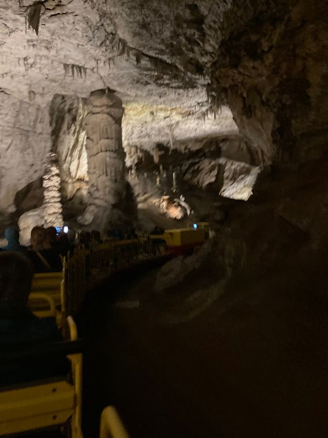 Postojnska Jama und die Suche nach dem Grottenolm