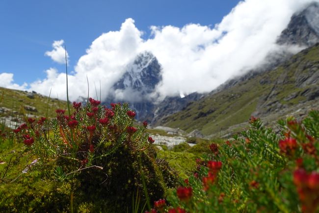 دو گذر با اورست بیسکامپ و کالا پاتار - نپال