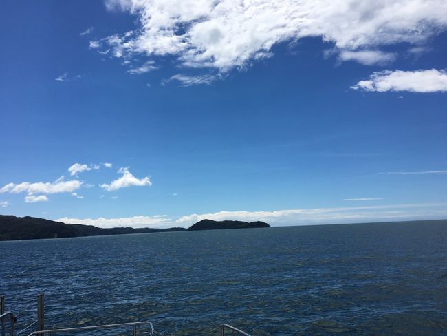Rundfahrt mit dem Boot an der Küste des Abel Tasman Nationalpark entlang 