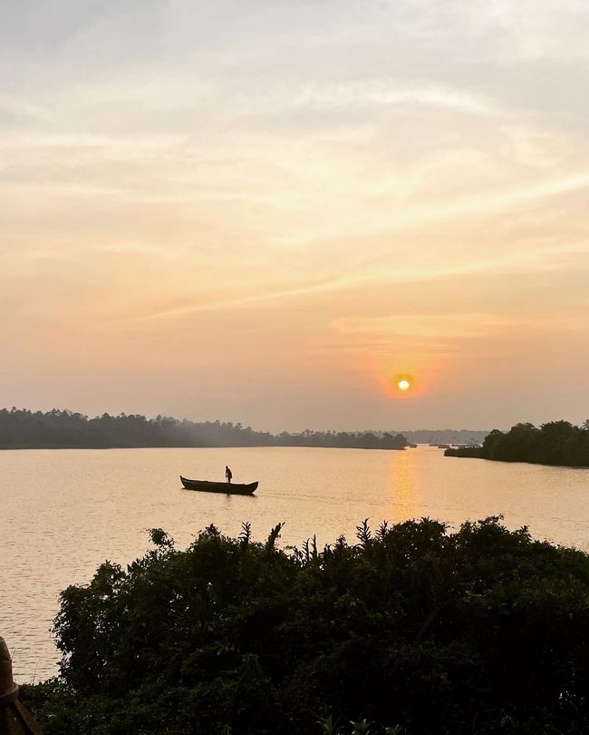 Backwaters - mucha tranquilidad y naturaleza