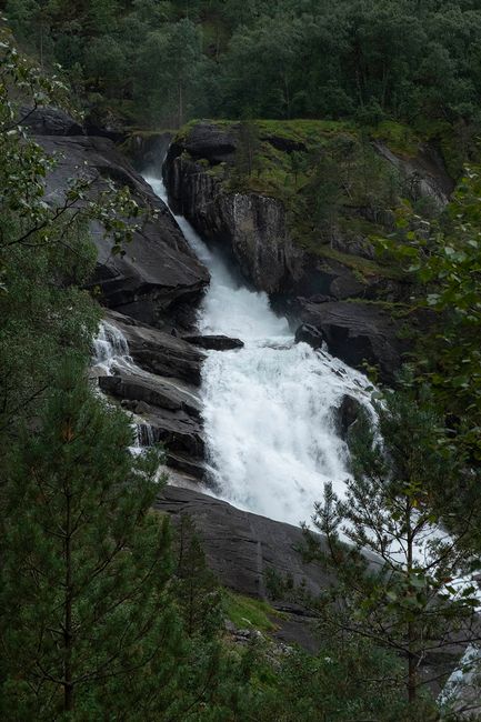 Tag 6 -  Zum Hardangerfjord
