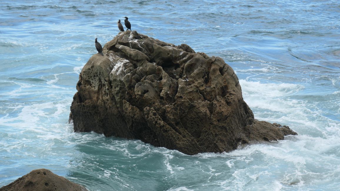 2. Etapa San Sebastián hasta Getaria