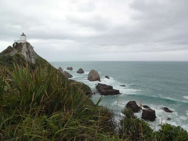 26.1. Nugget Point and Dunedin