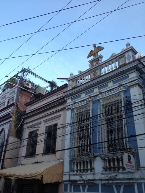 Brasilien: Manaus
