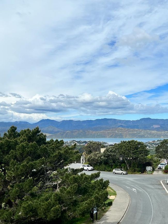 View Mount Victoria