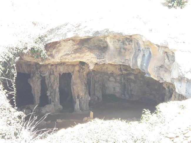 Naracoorte Caves