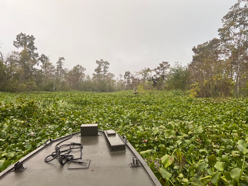 Wildes Louisiana