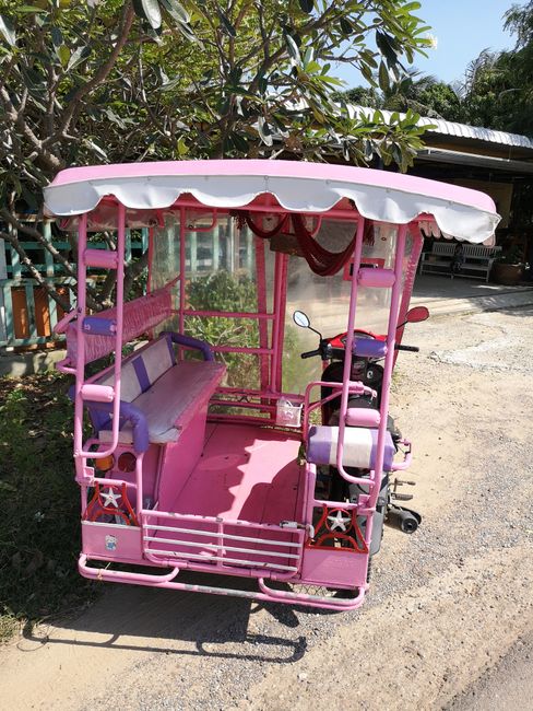 Lady Tuktuk