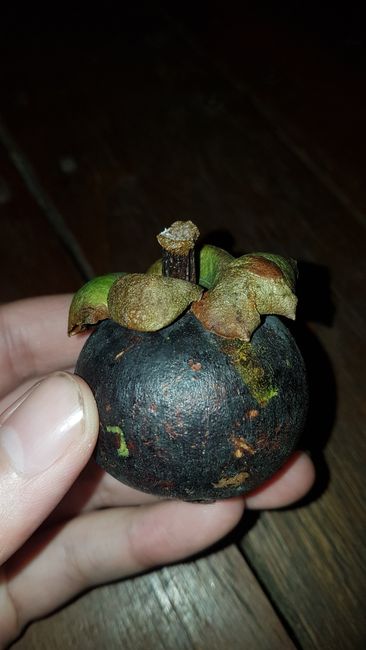 This fruit is called mangosteen.