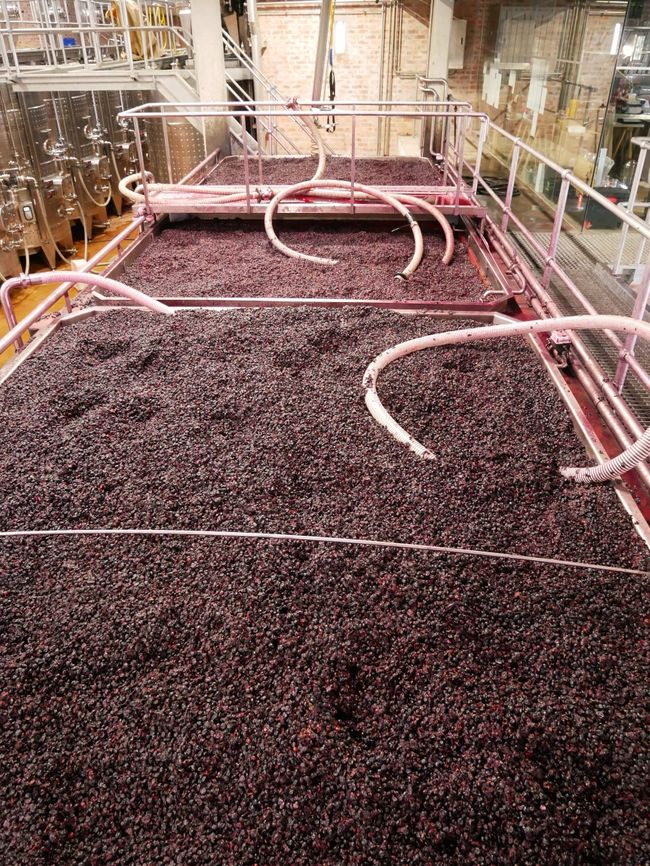 traditionelle Weinproduktion