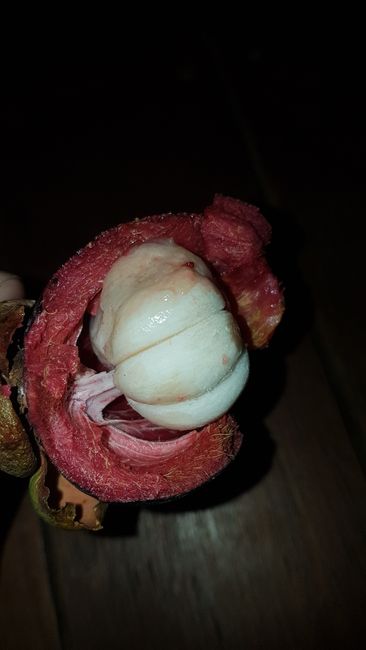 Its flesh looks like garlic cloves. But it tastes super sweet and fruity! I can only recommend it.