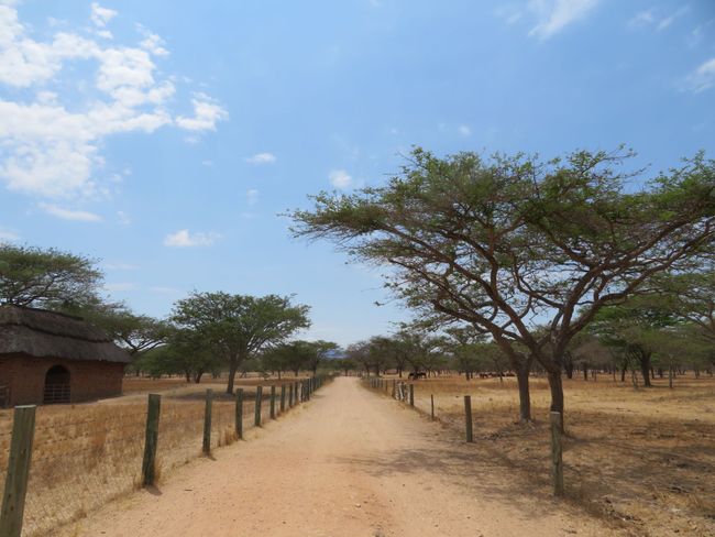 Kibebe Farm Iringa