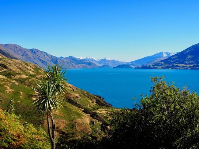 we-in-South-New Zealand