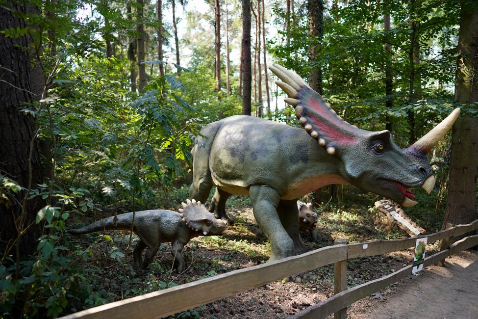 Tag 4: Ich glaub, die Dinos sind da!