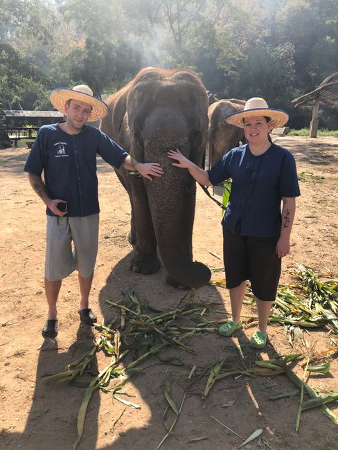 Ein Tag in der Lanna Kingdom Elephant Sanctuary, 04.02.2020 (Tag 4)