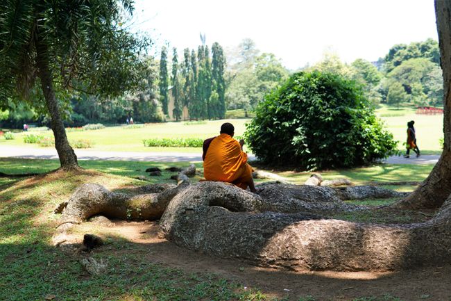 Mönch in Kandy