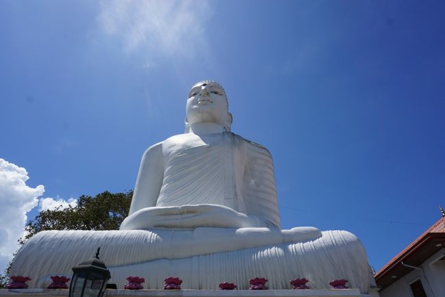 Budda statue 