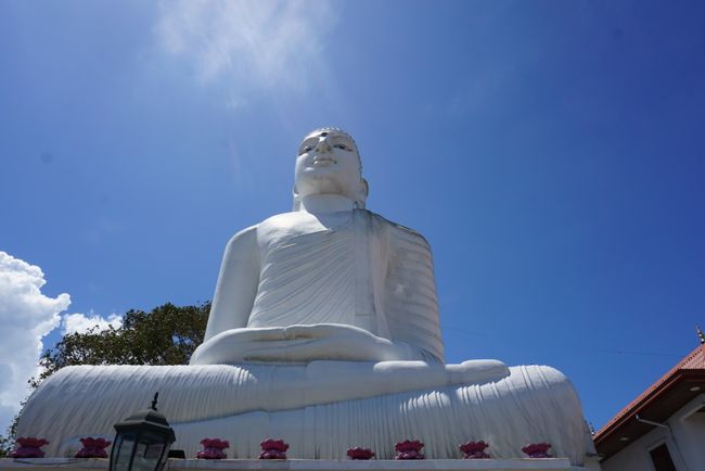 Buddha statue